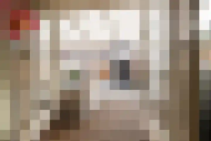 Burg. Warnerslaan 2 Anna Paulowna thumbnail 20