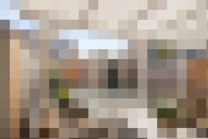 Burg. Warnerslaan 2 Anna Paulowna thumbnail 23