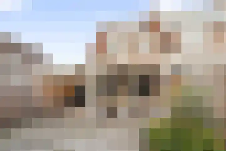 Burg. Warnerslaan 2 Anna Paulowna thumbnail 25