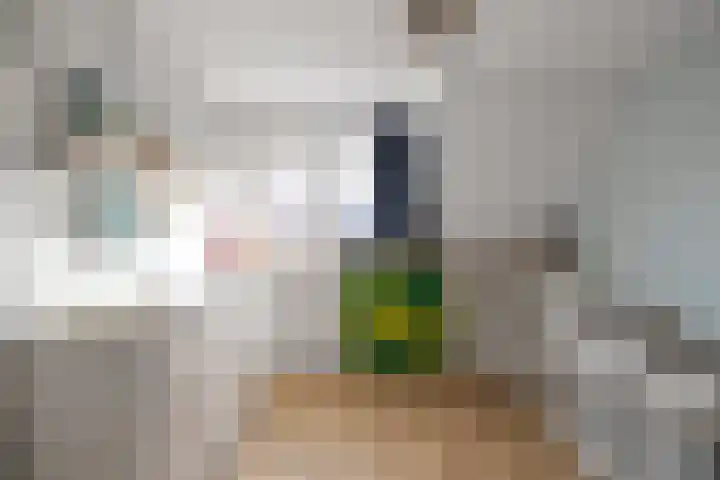Burg. Warnerslaan 2 Anna Paulowna thumbnail 28