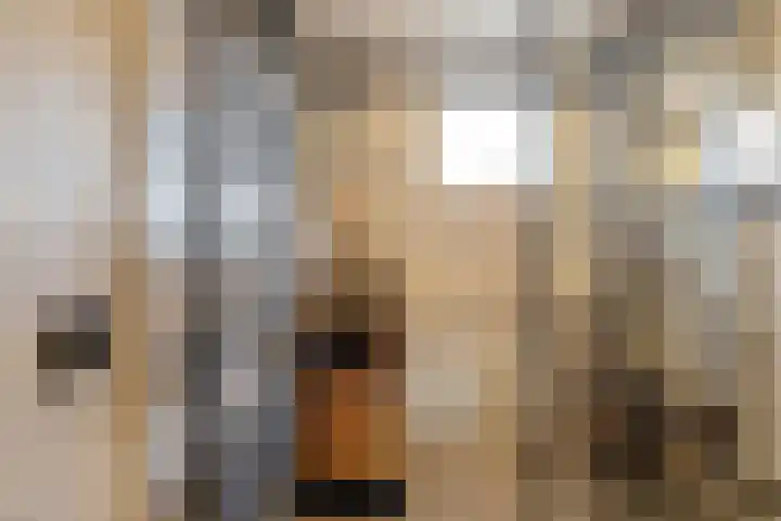 Burg. Warnerslaan 2 Anna Paulowna thumbnail 32