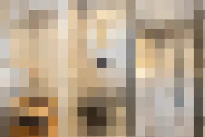 Burg. Warnerslaan 2 Anna Paulowna thumbnail 33