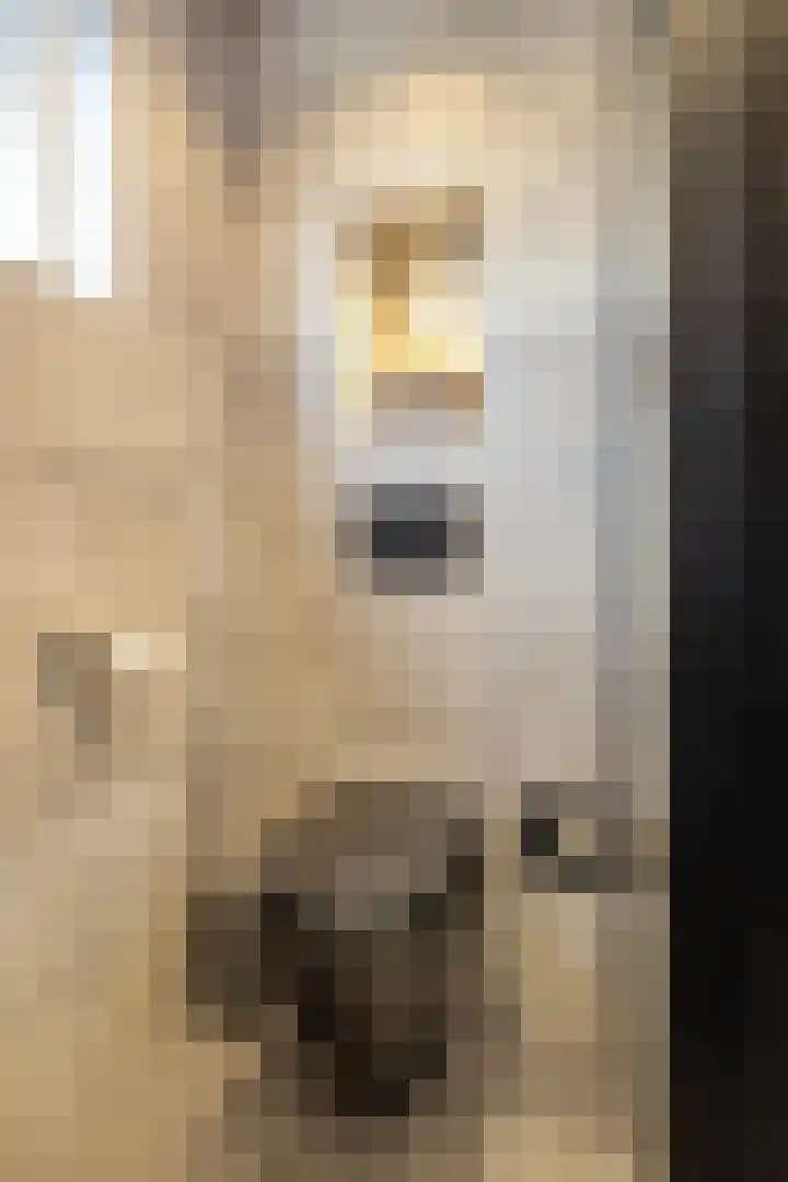 Burg. Warnerslaan 2 Anna Paulowna thumbnail 34