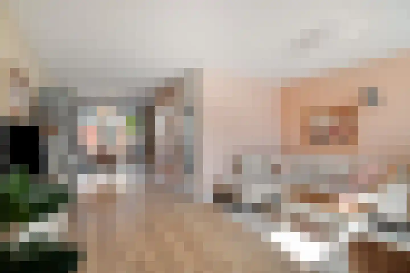 Burg. Warnerslaan 31 Anna Paulowna thumbnail 11