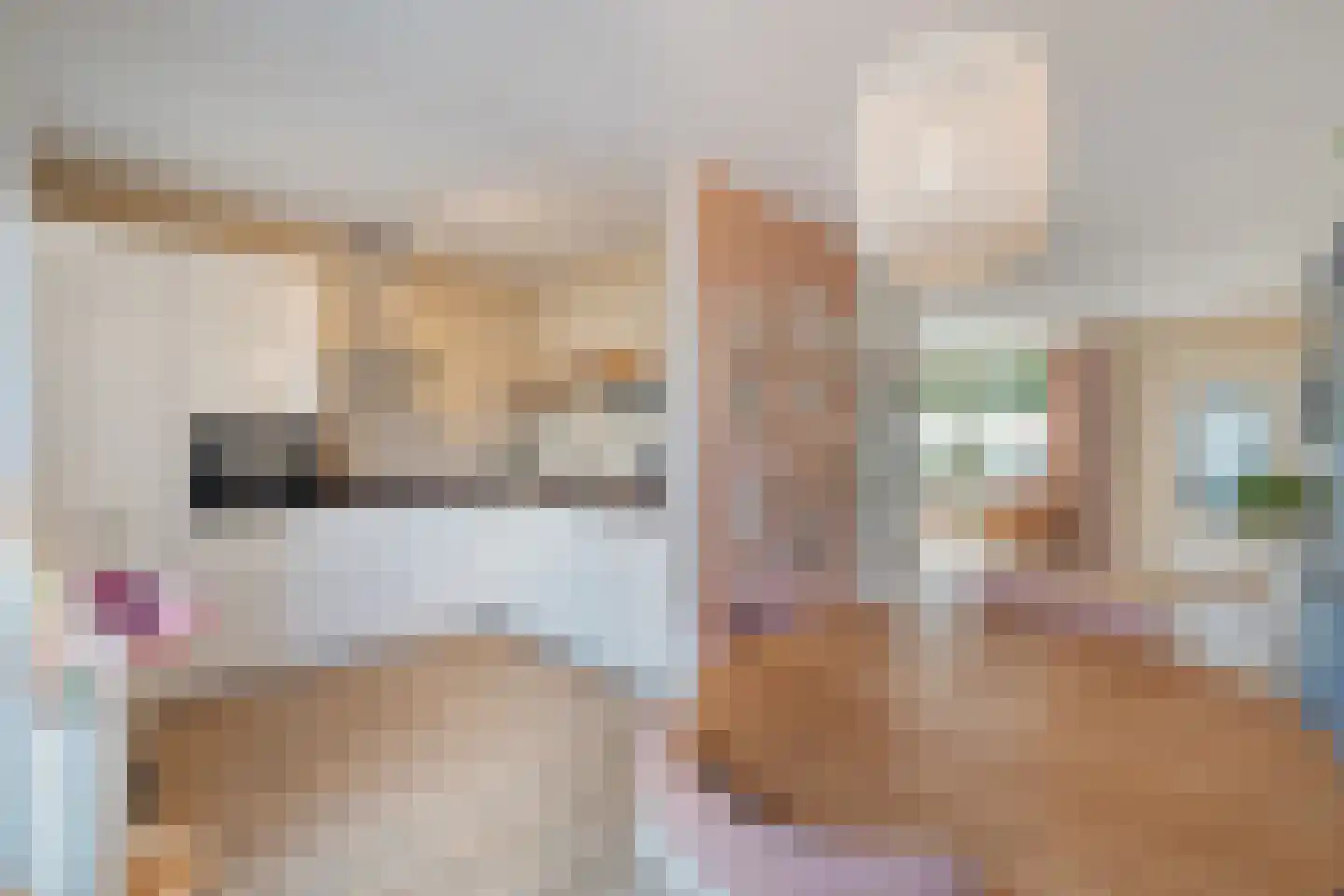 Burg. Warnerslaan 31 Anna Paulowna thumbnail 21