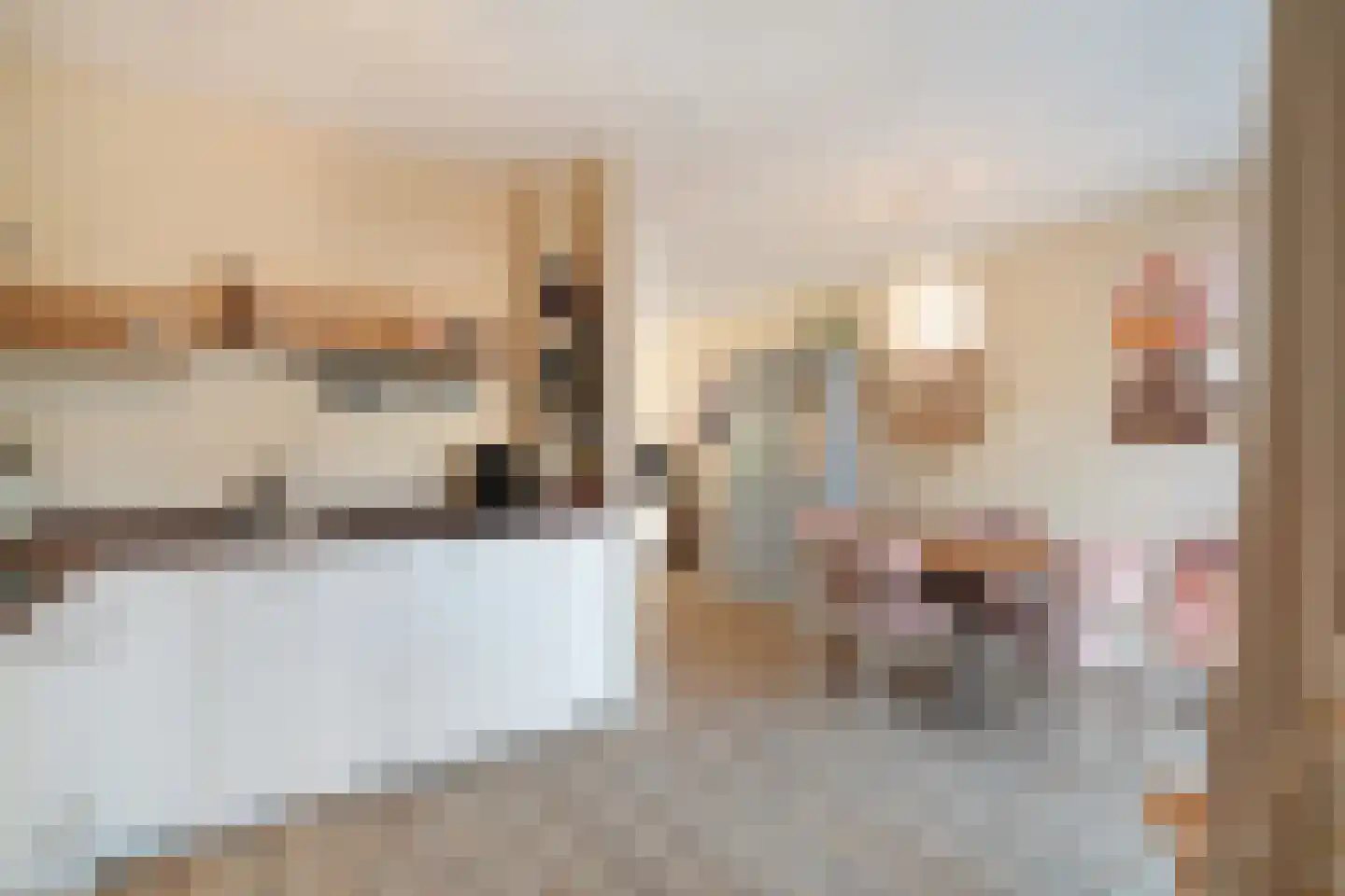 Burg. Warnerslaan 31 Anna Paulowna thumbnail 22