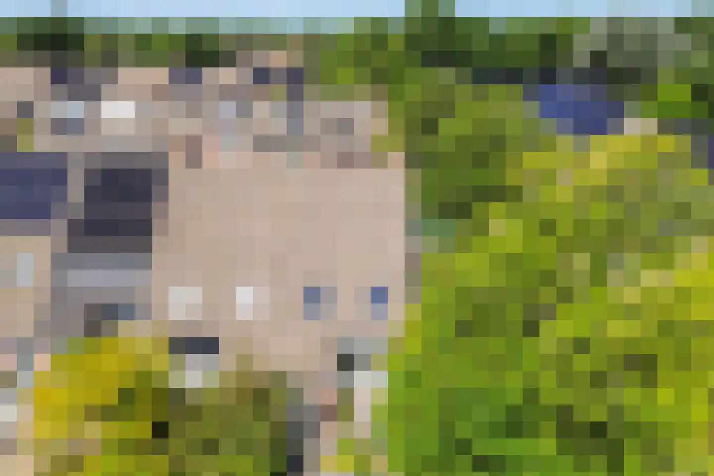 Burg. Warnerslaan 31 Anna Paulowna thumbnail 46