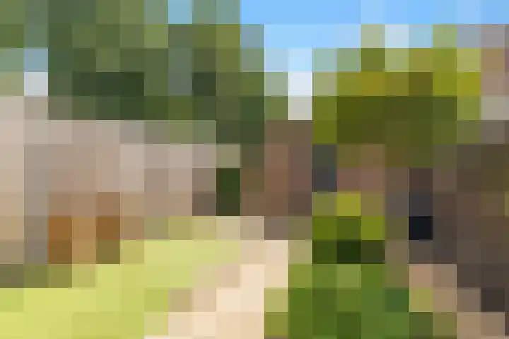 Burg. Warnerslaan 45 Anna Paulowna thumbnail 31