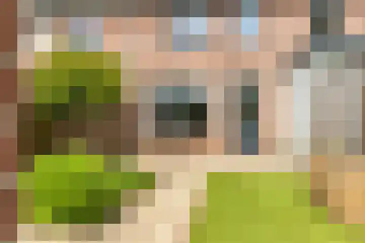 Burg. Warnerslaan 45 Anna Paulowna thumbnail 32