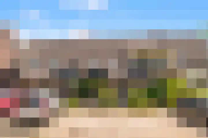 Burg. Warnerslaan 45 Anna Paulowna thumbnail 33