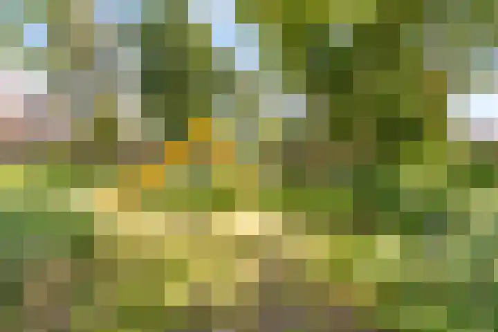 Burg. Warnerslaan 45 Anna Paulowna thumbnail 35