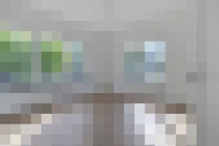 Burg. Waszinkstraat 113 Heerlen thumbnail 28