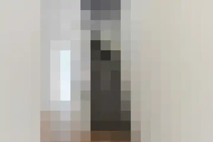 Burg. Waszinkstraat 113 Heerlen thumbnail 31