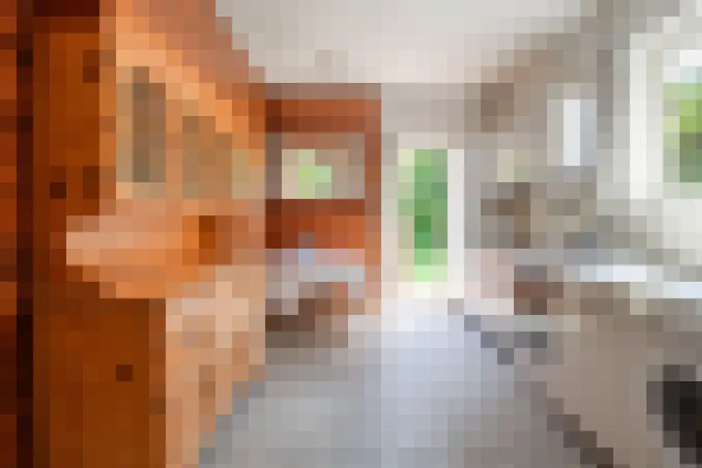Burg. Waszinkstraat 114 Heerlen thumbnail 13