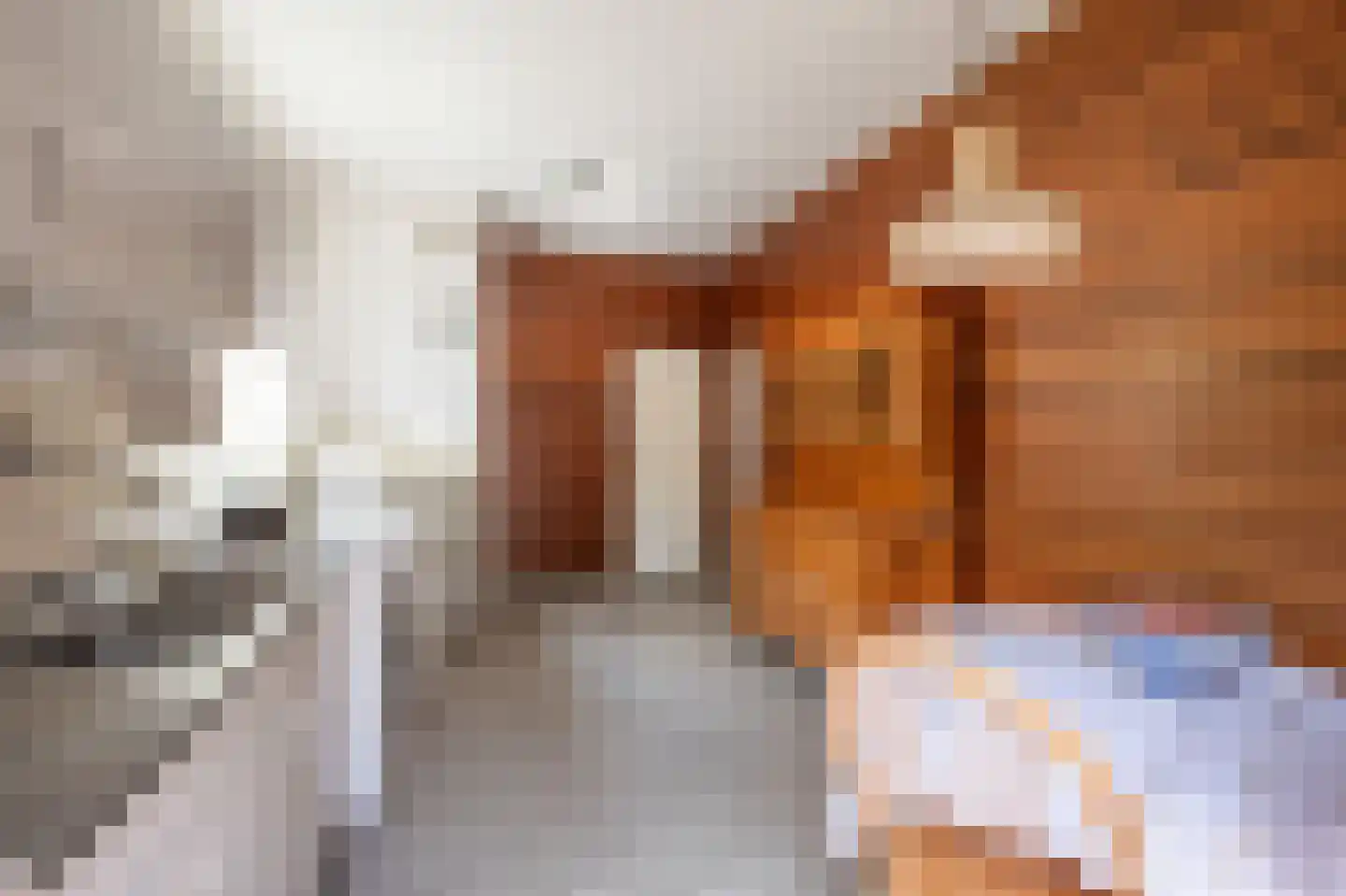 Burg. Waszinkstraat 114 Heerlen thumbnail 14