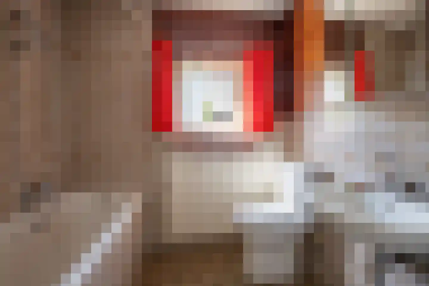 Burg. Waszinkstraat 114 Heerlen thumbnail 24
