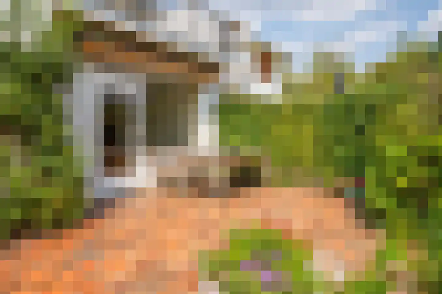 Burg. Waszinkstraat 114 Heerlen thumbnail 25