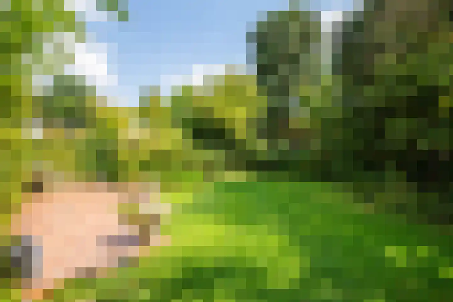 Burg. Waszinkstraat 114 Heerlen thumbnail 27
