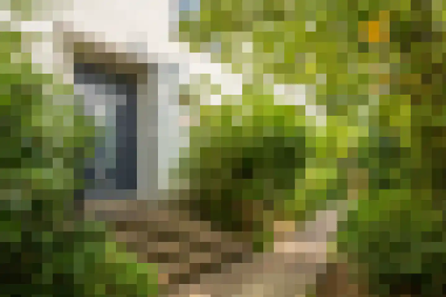 Burg. Waszinkstraat 114 Heerlen thumbnail 4