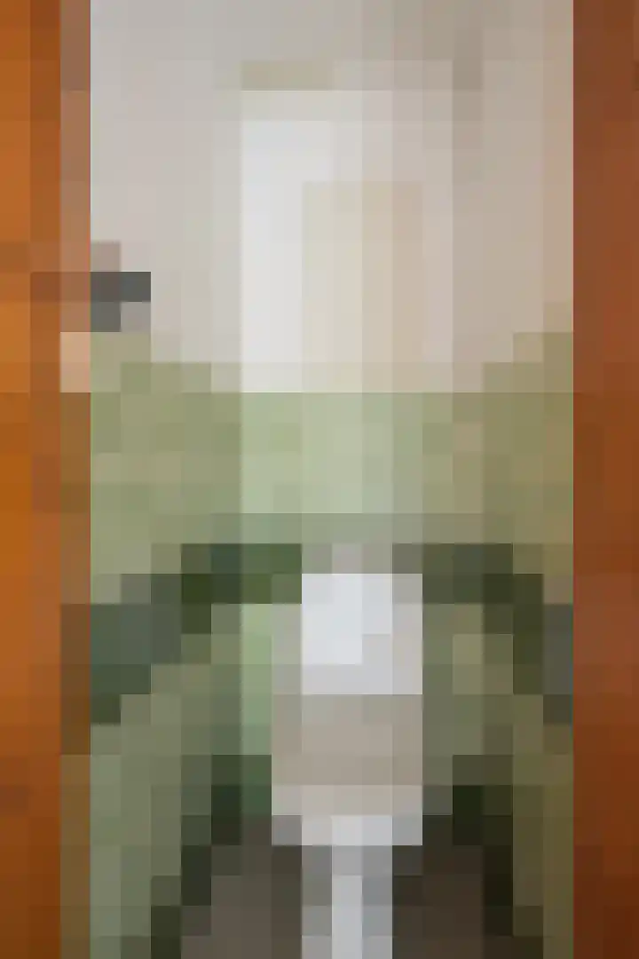 Burg. Waszinkstraat 3 Heerlen thumbnail 15