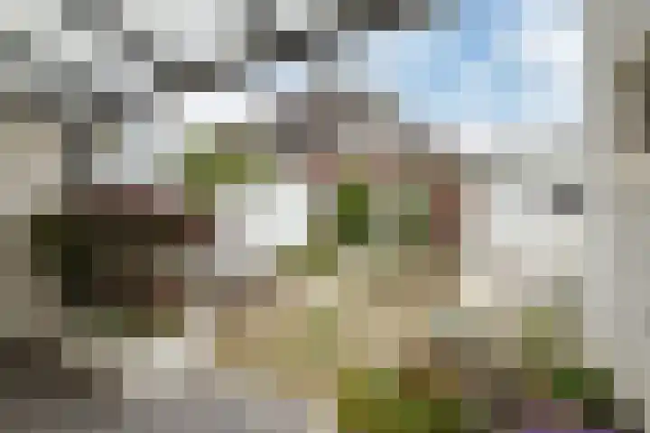 Burg. Waszinkstraat 3 Heerlen thumbnail 19
