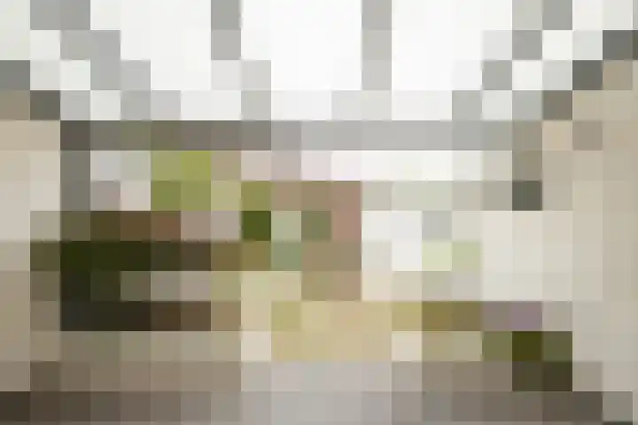 Burg. Waszinkstraat 3 Heerlen thumbnail 20
