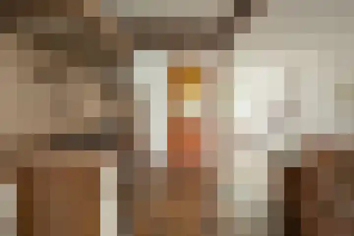 Burg. Waszinkstraat 3 Heerlen thumbnail 4
