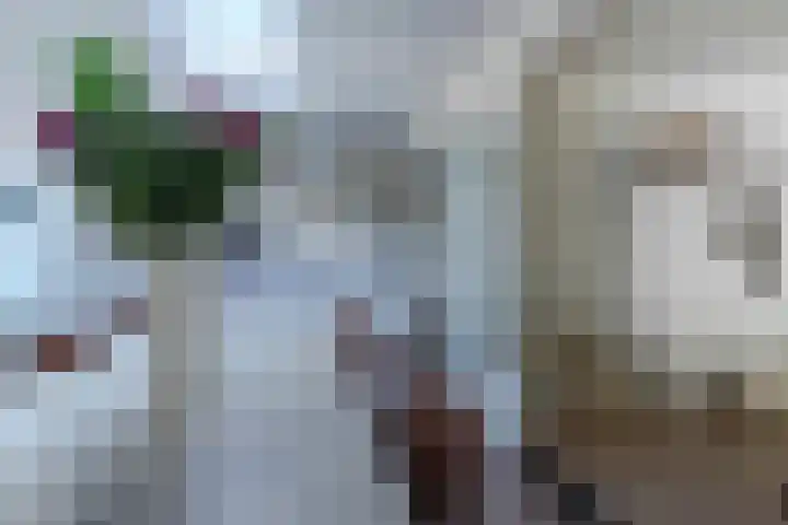 Burg. Waszinkstraat 33 Heerlen thumbnail 10