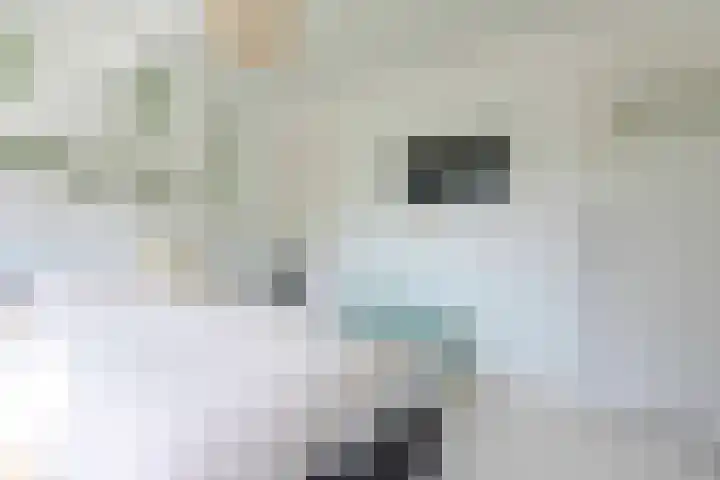 Burg. Waszinkstraat 33 Heerlen thumbnail 23