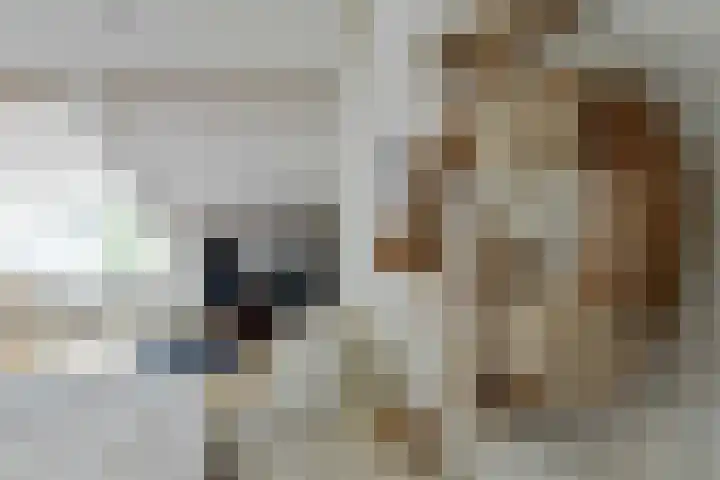 Burg. Waszinkstraat 33 Heerlen thumbnail 29