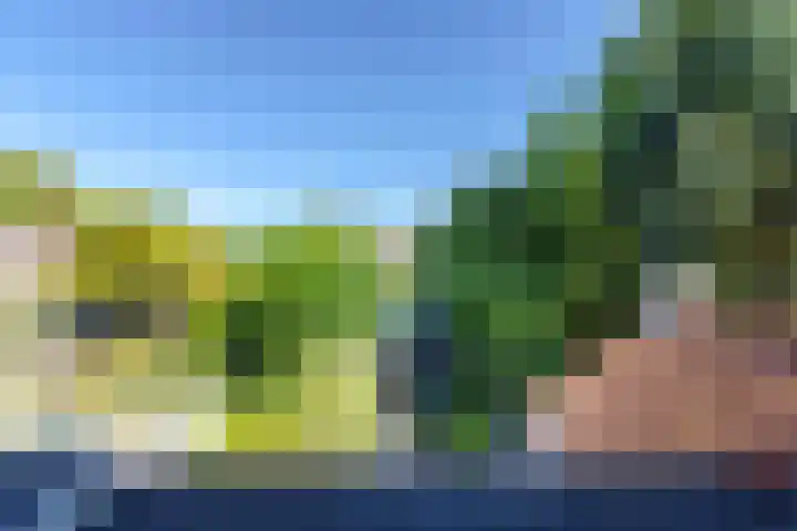 Burg. Waszinkstraat 33 Heerlen thumbnail 31
