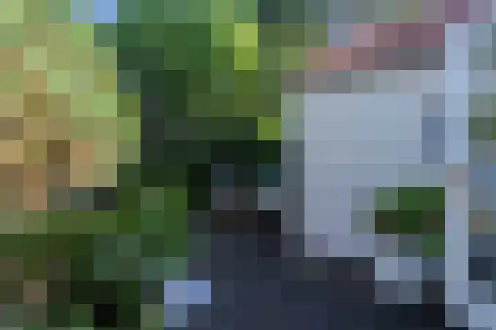 Burg. Waszinkstraat 33 Heerlen thumbnail 32