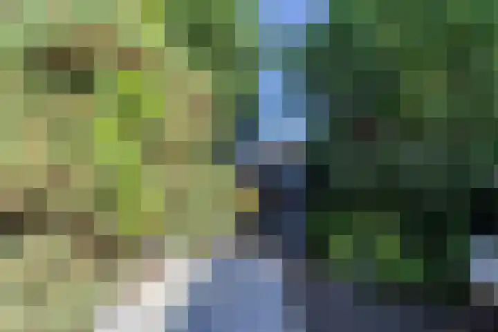 Burg. Waszinkstraat 33 Heerlen thumbnail 33