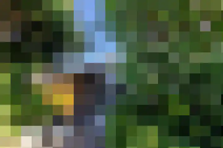 Burg. Waszinkstraat 33 Heerlen thumbnail 35