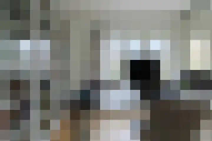 Burg. Waszinkstraat 37 Heerlen thumbnail 24