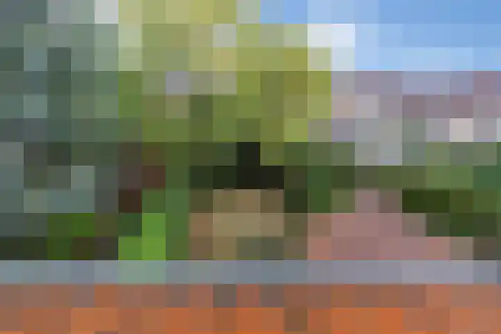 Burg. Waszinkstraat 37 Heerlen thumbnail 34