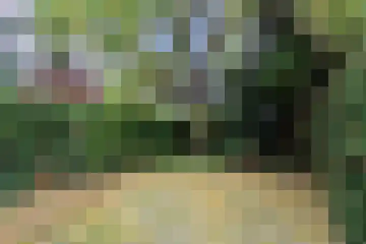 Burg. Waszinkstraat 37 Heerlen thumbnail 36