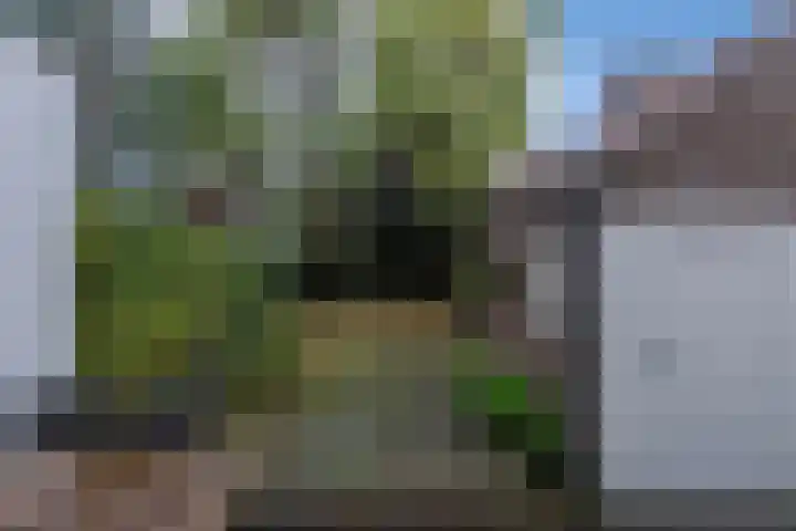 Burg. Waszinkstraat 37 Heerlen thumbnail 4