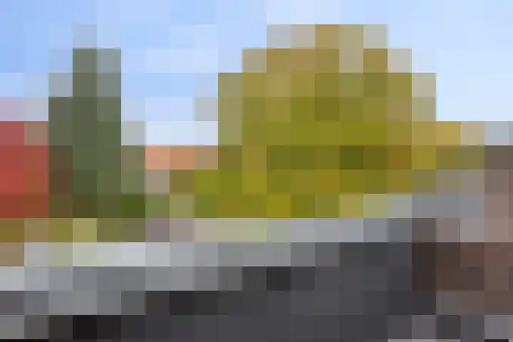 Burg. Waszinkstraat 75 Heerlen thumbnail 29