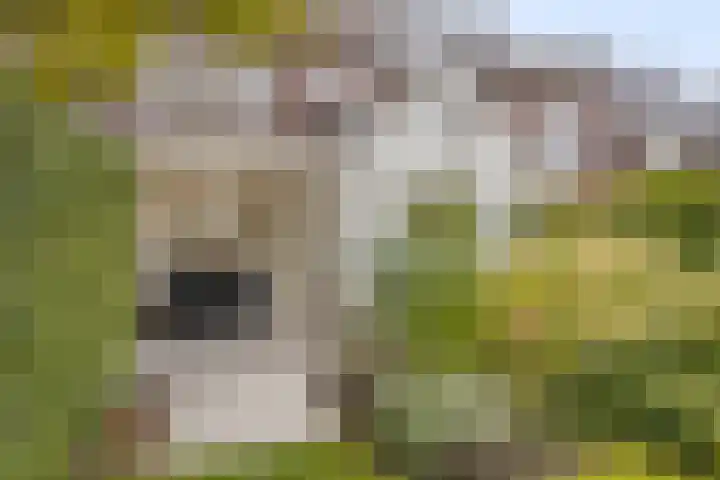 Burg. Waszinkstraat 75 Heerlen thumbnail 31