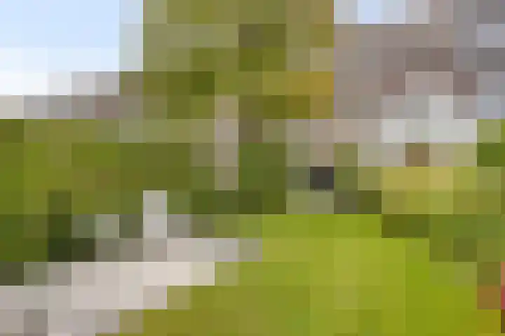 Burg. Waszinkstraat 75 Heerlen thumbnail 32