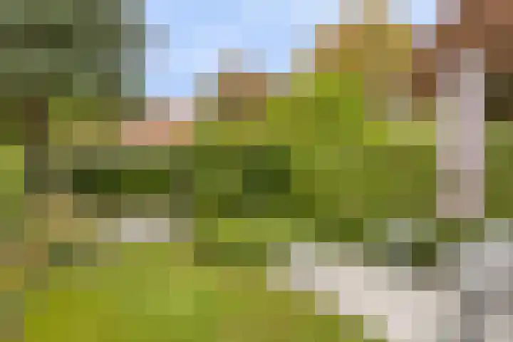 Burg. Waszinkstraat 75 Heerlen thumbnail 33