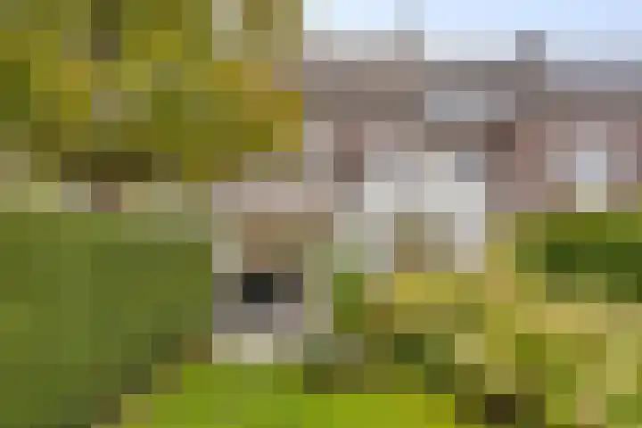 Burg. Waszinkstraat 75 Heerlen thumbnail 34