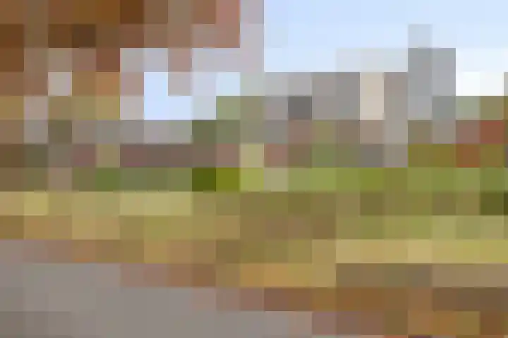 Burg. Waszinkstraat 75 Heerlen thumbnail 40