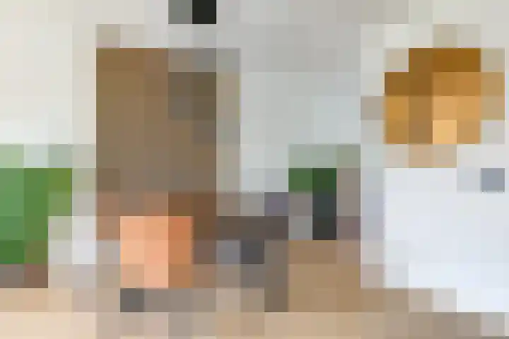 Burg. Weimalaan 15 Nijeveen thumbnail 6