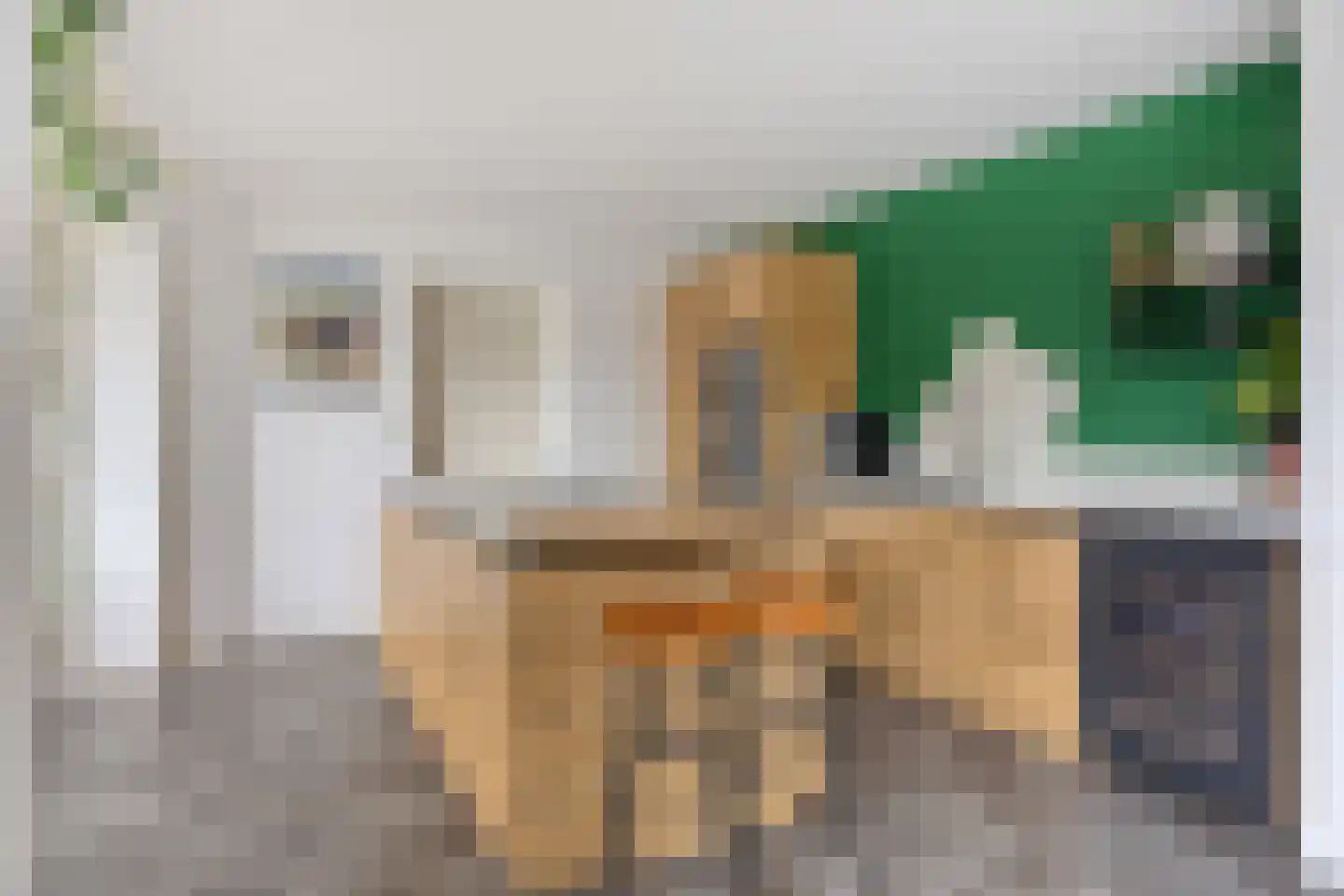 Burg. Weimalaan 20 Nijeveen thumbnail 19