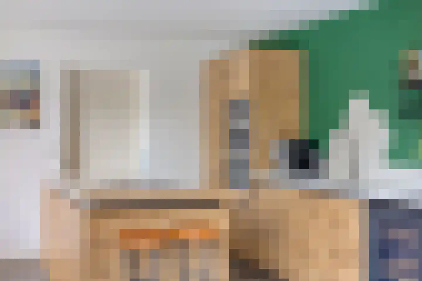 Burg. Weimalaan 20 Nijeveen thumbnail 20