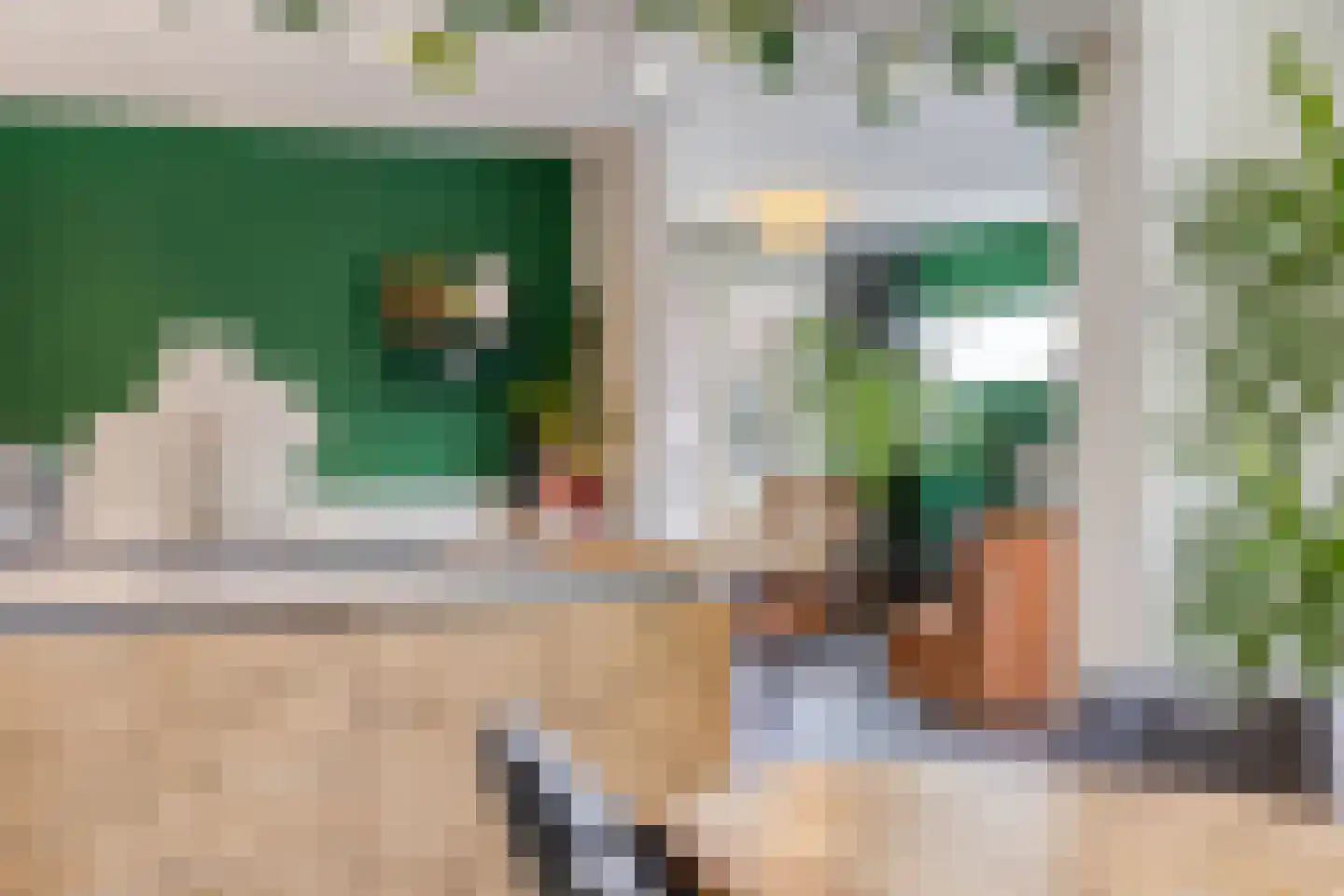 Burg. Weimalaan 20 Nijeveen thumbnail 21