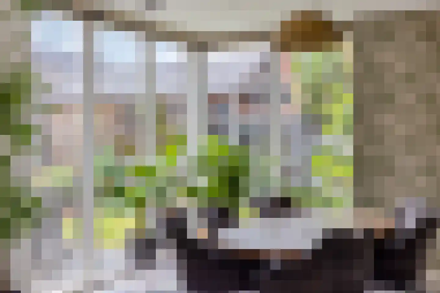 Burg. Weimalaan 20 Nijeveen thumbnail 24