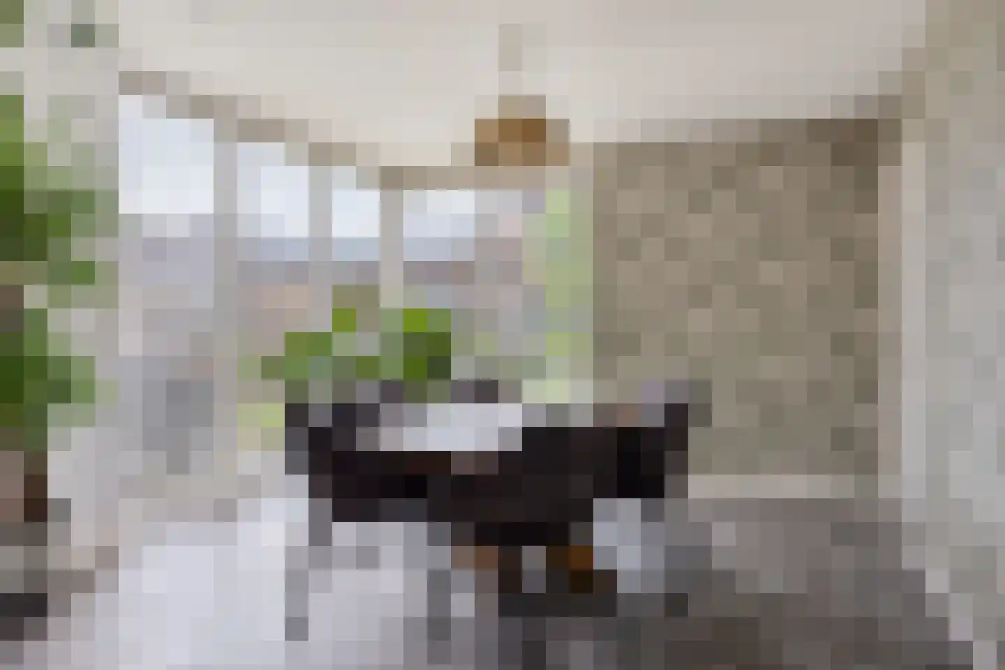 Burg. Weimalaan 20 Nijeveen thumbnail 25